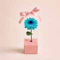 The One - Gerbera