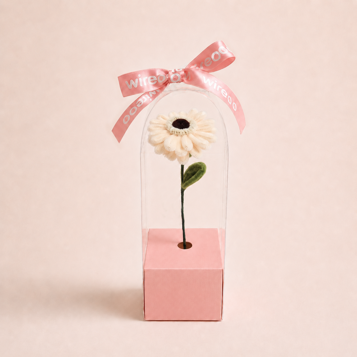 The One - Gerbera