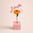 The One - Gerbera