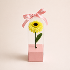 The One - Gerbera