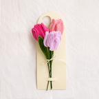 Trio Tulips
