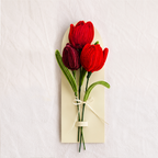 Trio Tulips